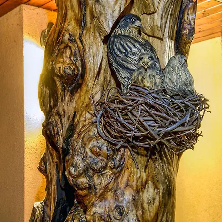 Vela Séjour chez l'habitant