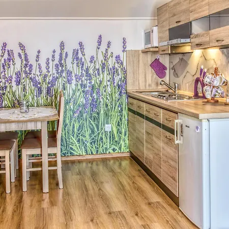 Vela Проживание в семье Maly Slavkov