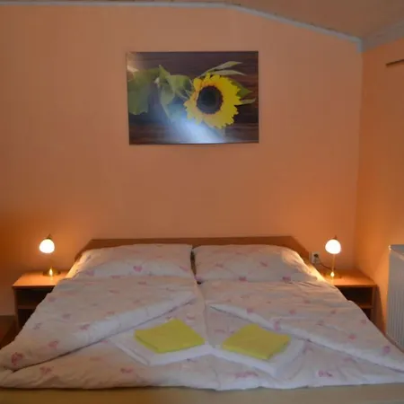 Vela Проживание в семье *