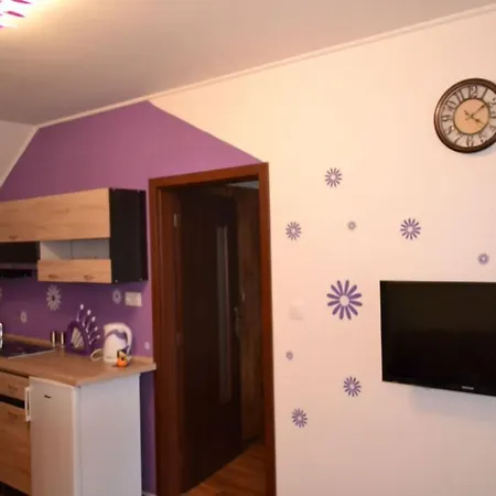 Vela منزل للإقامة Maly Slavkov