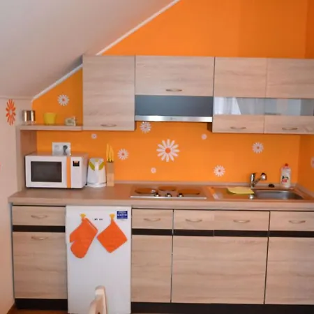 Vela Проживание в семье *