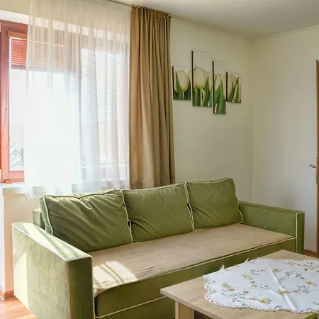 Vela Проживание в семье